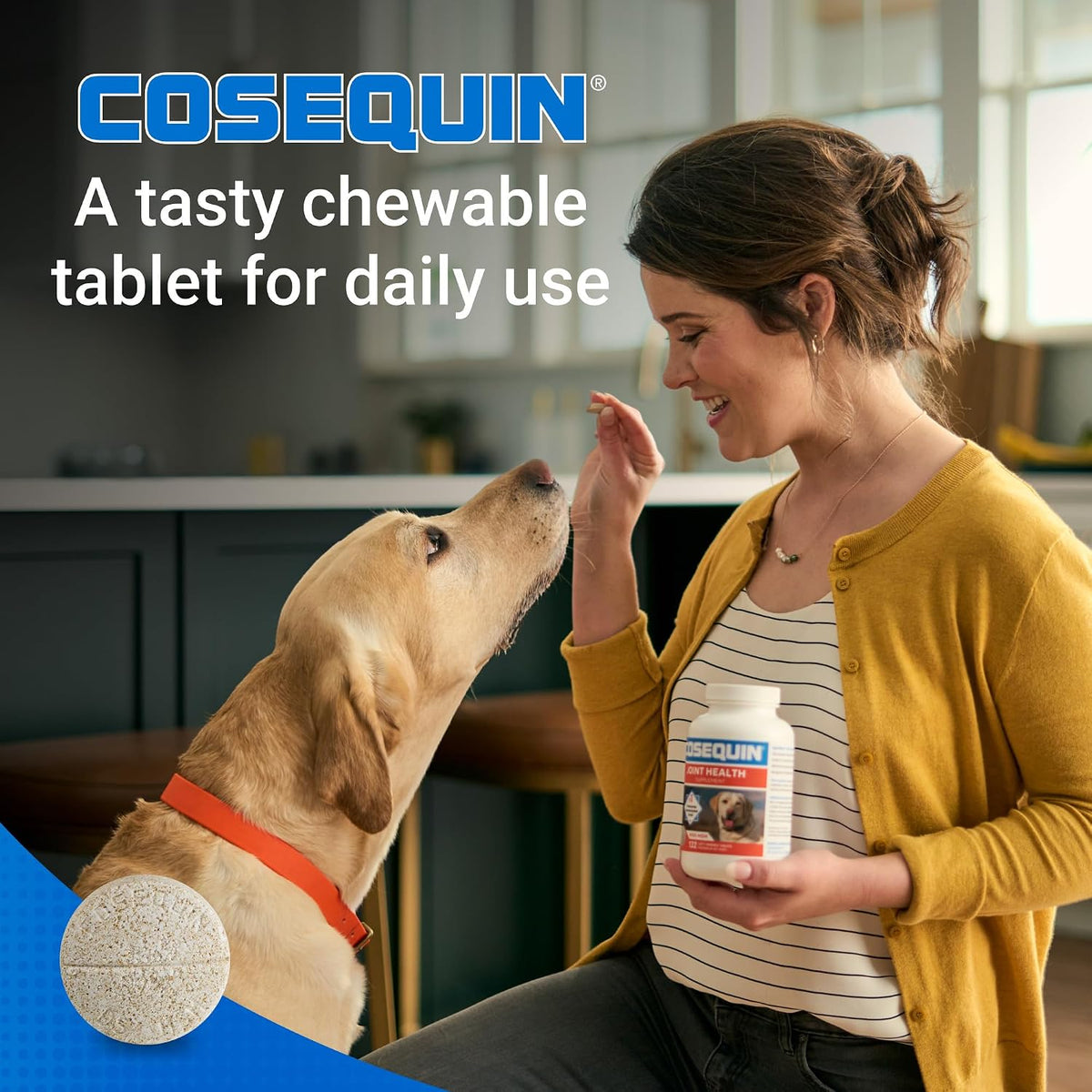 Nutramax Cosequin Joint Supplement for Dogs, MSM+HA, Chew Tablets, 250ct