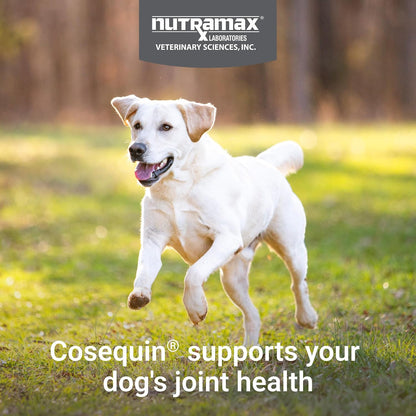 Nutramax Cosequin Joint Supplement for Dogs, MSM+HA, Chew Tablets, 250ct