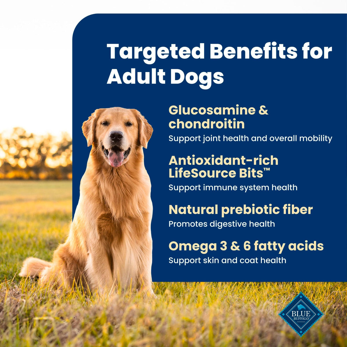 Blue Buffalo Life Protection Formula Chicken Adult Dry Dog Food, 30 lb
