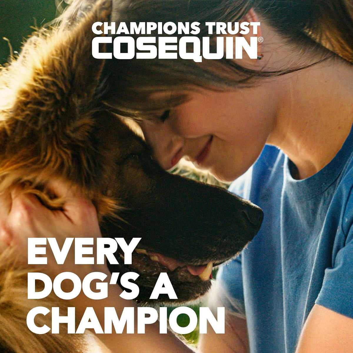 Nutramax Cosequin Joint Supplement for Dogs, MSM+HA, Chew Tablets, 250ct