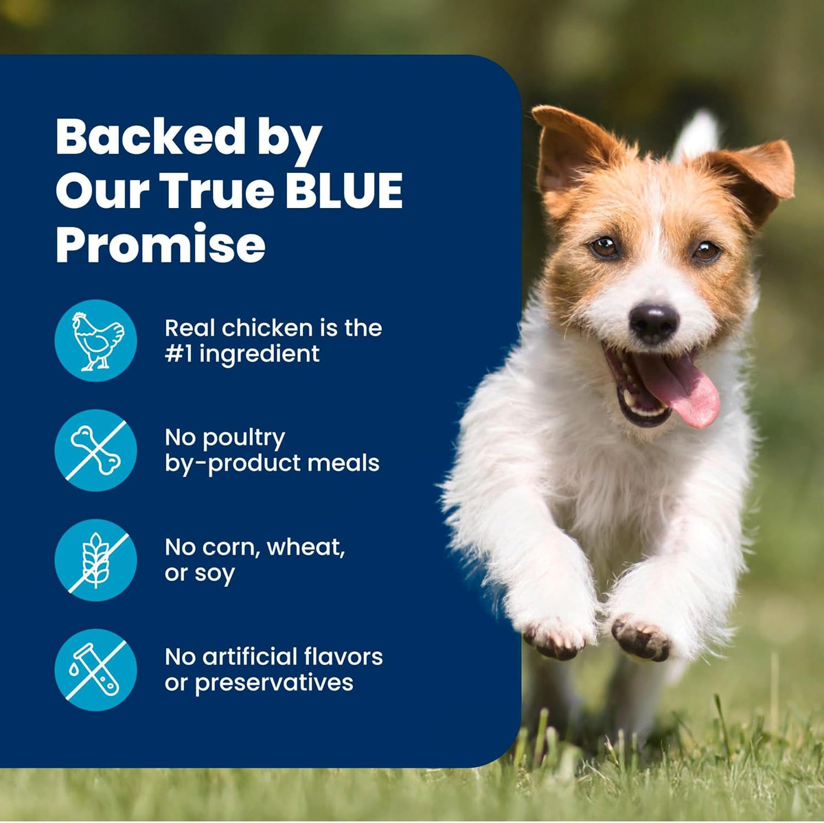 Blue Buffalo Life Protection Formula Healthy Weight Small Dog Food, 15 lb
