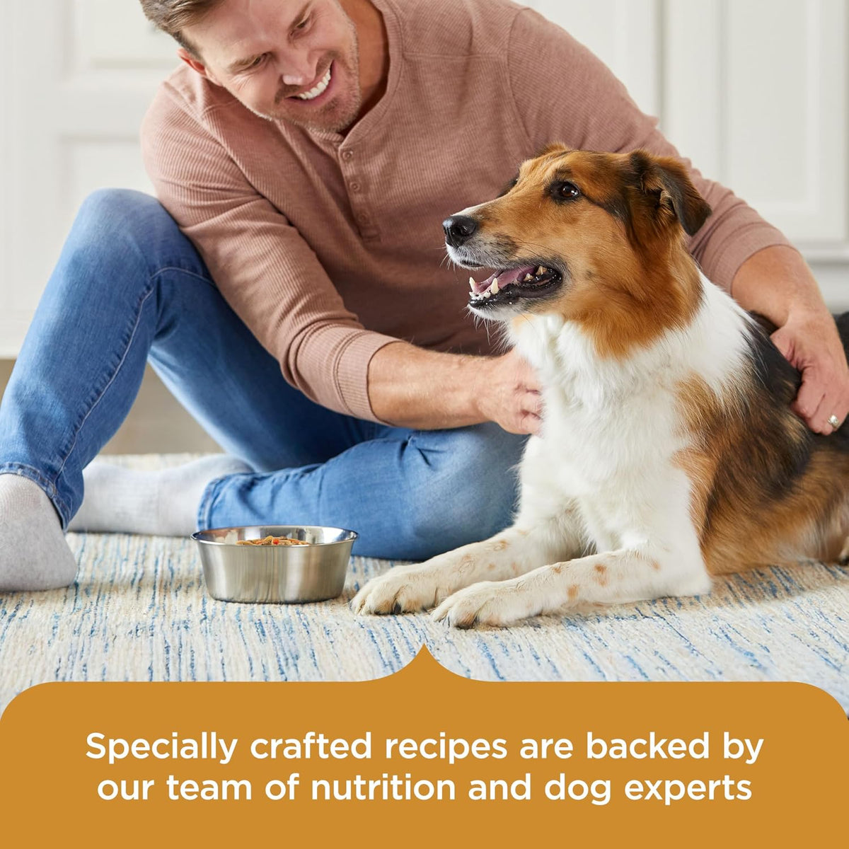 Nutrish Hearty Beef Stew Wet Dog Food, 8 oz. Tub (Pack of 8) (Rachael Ray)