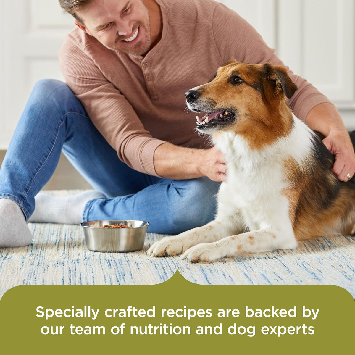 Nutrish Hearty Beef Stew Wet Dog Food, 8 oz. Tub (Pack of 8) (Rachael Ray)
