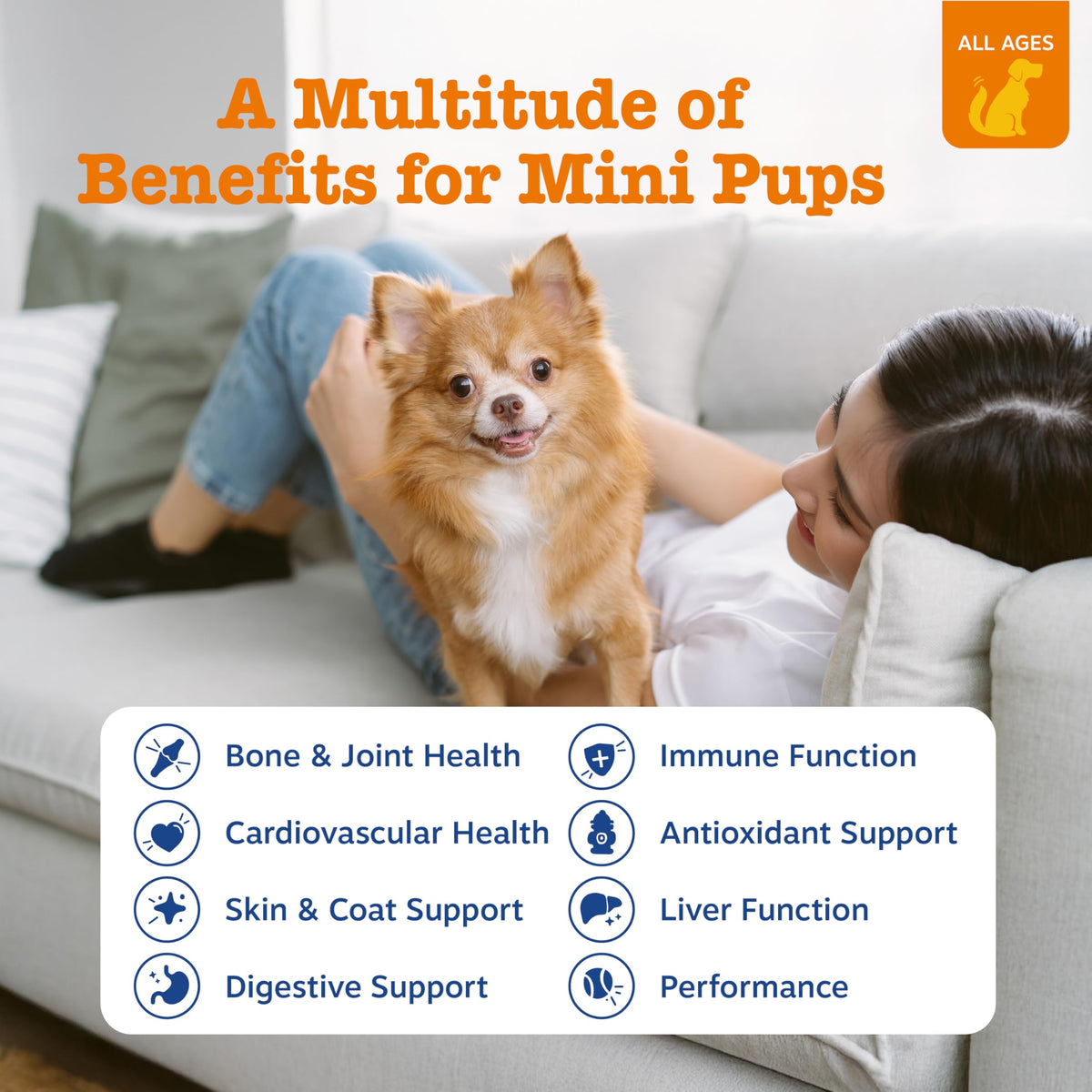 Zesty Paws Dog Vitamins - Dog Multivitamins with Hemp - Chicken, 90 Ct