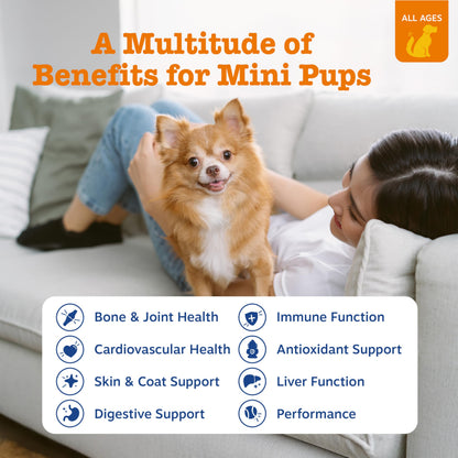 Zesty Paws Dog Vitamins - Dog Multivitamins with Hemp - Chicken, 90 Ct