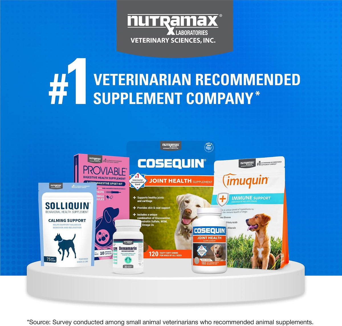 Nutramax Cosequin Joint Supplement for Dogs, MSM+HA, Chew Tablets, 250ct