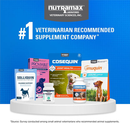 Nutramax Cosequin Joint Supplement for Dogs, MSM+HA, Chew Tablets, 250ct