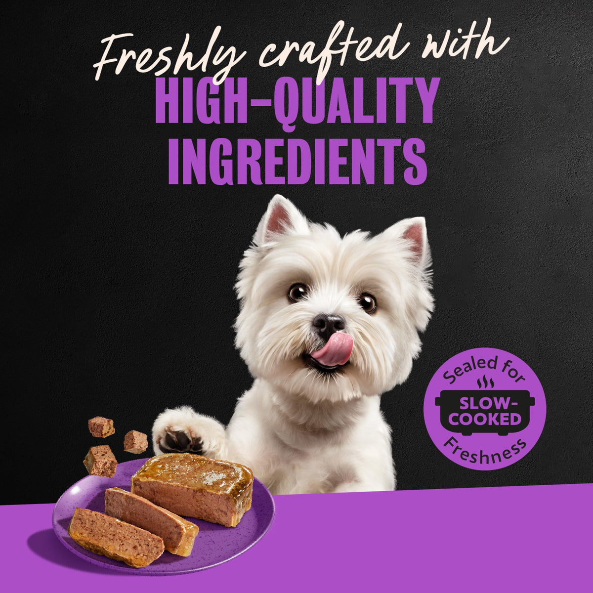 Cesar Classic Loaf in Sauce Wet Dog Food, Meaty Selects, 3.5 oz, 36 Count