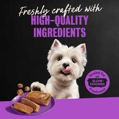 Cesar Classic Loaf in Sauce Wet Dog Food, Meaty Selects, 3.5 oz, 36 Count