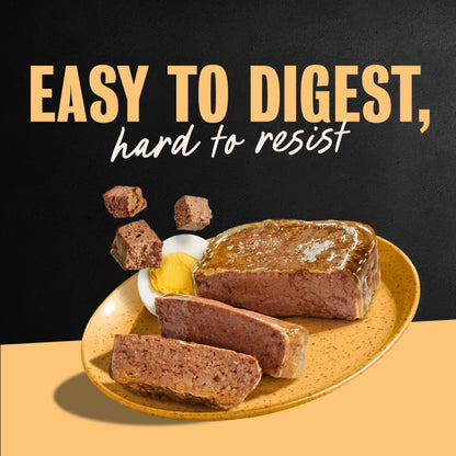 Cesar Classic Loaf in Sauce Wet Dog Food, Meaty Selects, 3.5 oz, 36 Count