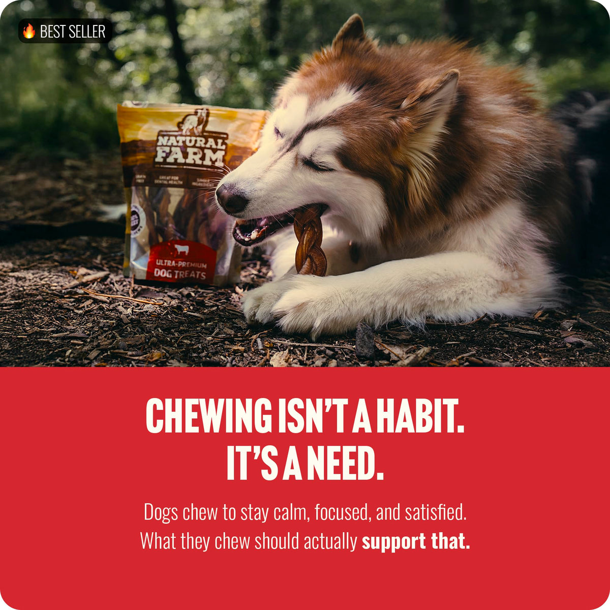 Natural Farm Odor-Free Bully Sticks (4-8”, 16oz) ALL-NATURAL Long-Lasting Chews, 100% Beef Pizzle, Grass-Fed, Grain-Free, Hormone-Free, Protein for Muscle Development & Energy, Perfect For Medium Dogs