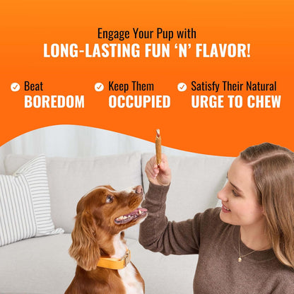 Good 'n' Fun Roll Long-Lasting Dog Treat for Large Dogs, 6 Count