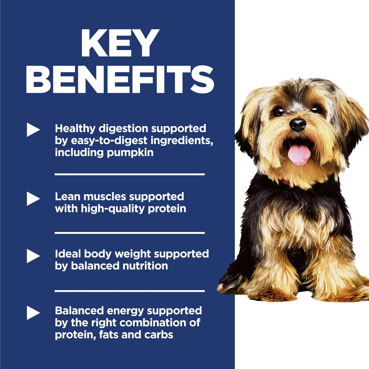 Hill's Science Diet Adult 1-6 Small & Mini Dry Dog Food