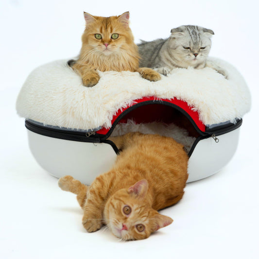 CATTASAURUS Peekaboo Cat Cave for Multiple & Large Cats Up to 30-45 Lbs, Scratch Detachable & Washable Tunnel Bed, Comfy Donut Cat Cave (Light Gray, Large)