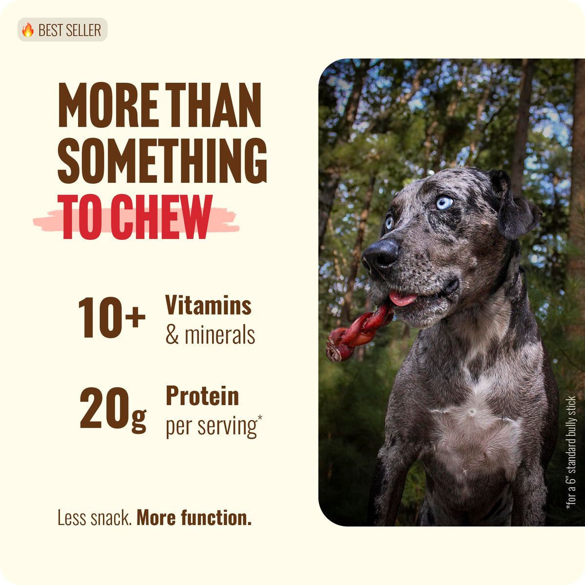 Natural Farm Odor-Free Bully Sticks (4-8”, 16oz) ALL-NATURAL Long-Lasting Chews, 100% Beef Pizzle, Grass-Fed, Grain-Free, Hormone-Free, Protein for Muscle Development & Energy, Perfect For Medium Dogs