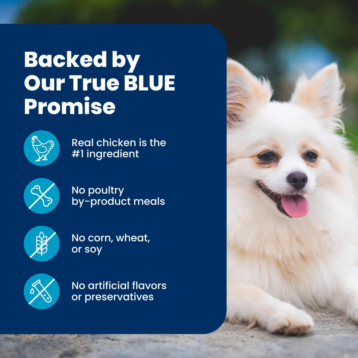 Blue Buffalo Life Protection Formula Healthy Weight Small Dog Food, 15 lb