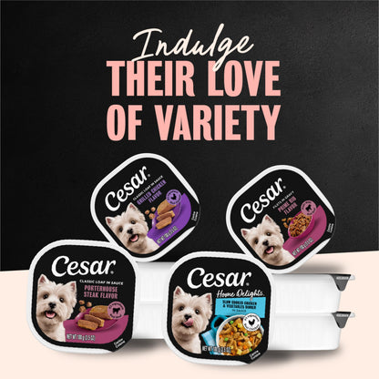Cesar Classic Loaf in Sauce Wet Dog Food, Meaty Selects, 3.5 oz, 36 Count