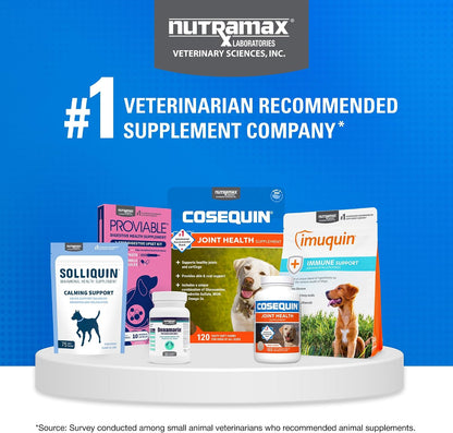 Nutramax Cosequin Joint Supplement for Dogs, MSM+HA, Chew Tablets, 250ct