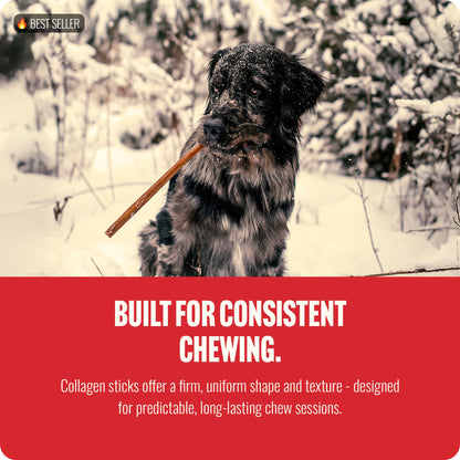 Natural Farm Odor-Free Bully Sticks (4-8”, 16oz) ALL-NATURAL Long-Lasting Chews, 100% Beef Pizzle, Grass-Fed, Grain-Free, Hormone-Free, Protein for Muscle Development & Energy, Perfect For Medium Dogs