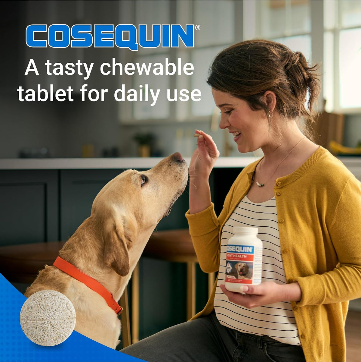 Nutramax Cosequin Joint Supplement for Dogs, MSM+HA, Chew Tablets, 250ct