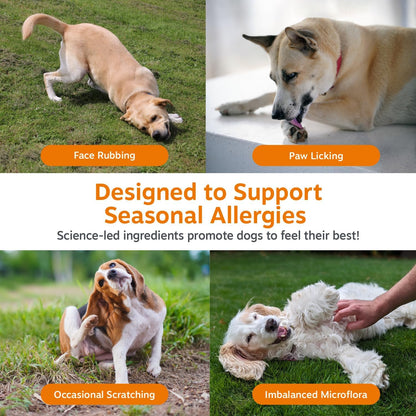 Zesty Paws Dog Allergy Chews - Dog Allergy Relief, Lamb, 90 Ct