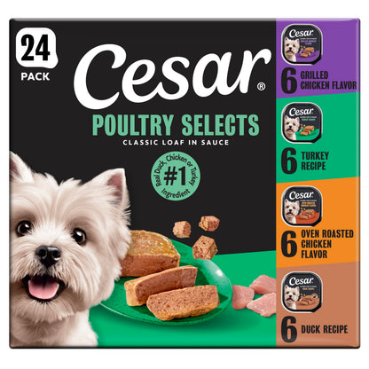 Cesar Classic Loaf in Sauce Wet Dog Food, Meaty Selects, 3.5 oz, 36 Count