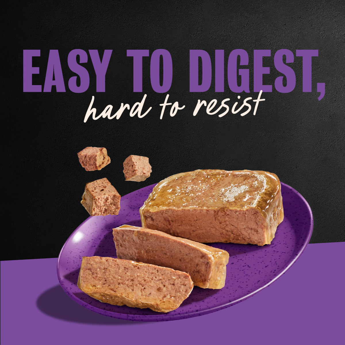 Cesar Classic Loaf in Sauce Wet Dog Food, Meaty Selects, 3.5 oz, 36 Count