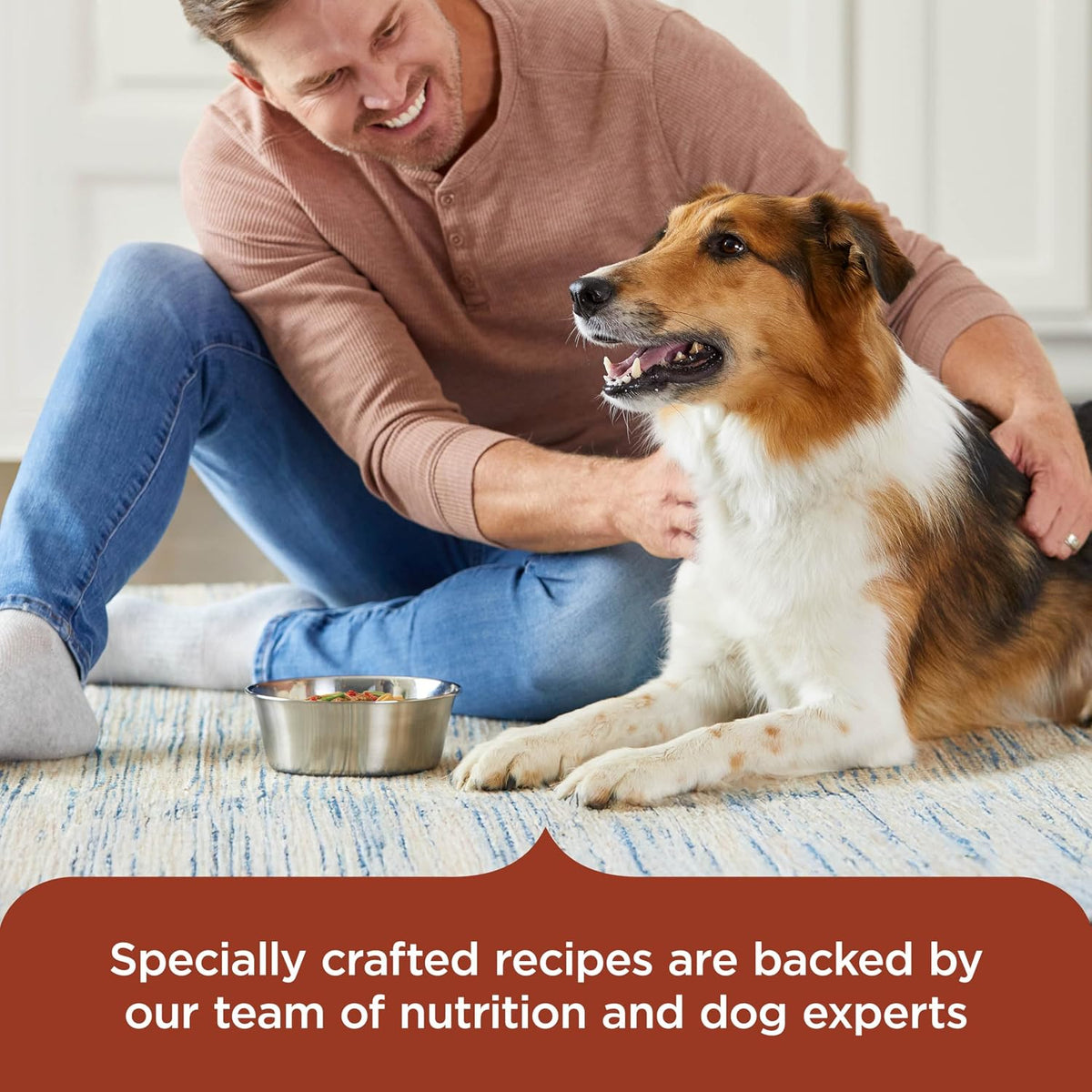 Nutrish Hearty Beef Stew Wet Dog Food, 8 oz. Tub (Pack of 8) (Rachael Ray)