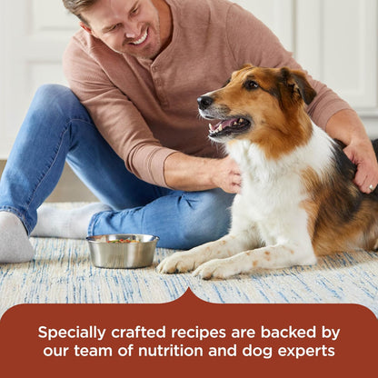 Nutrish Hearty Beef Stew Wet Dog Food, 8 oz. Tub (Pack of 8) (Rachael Ray)