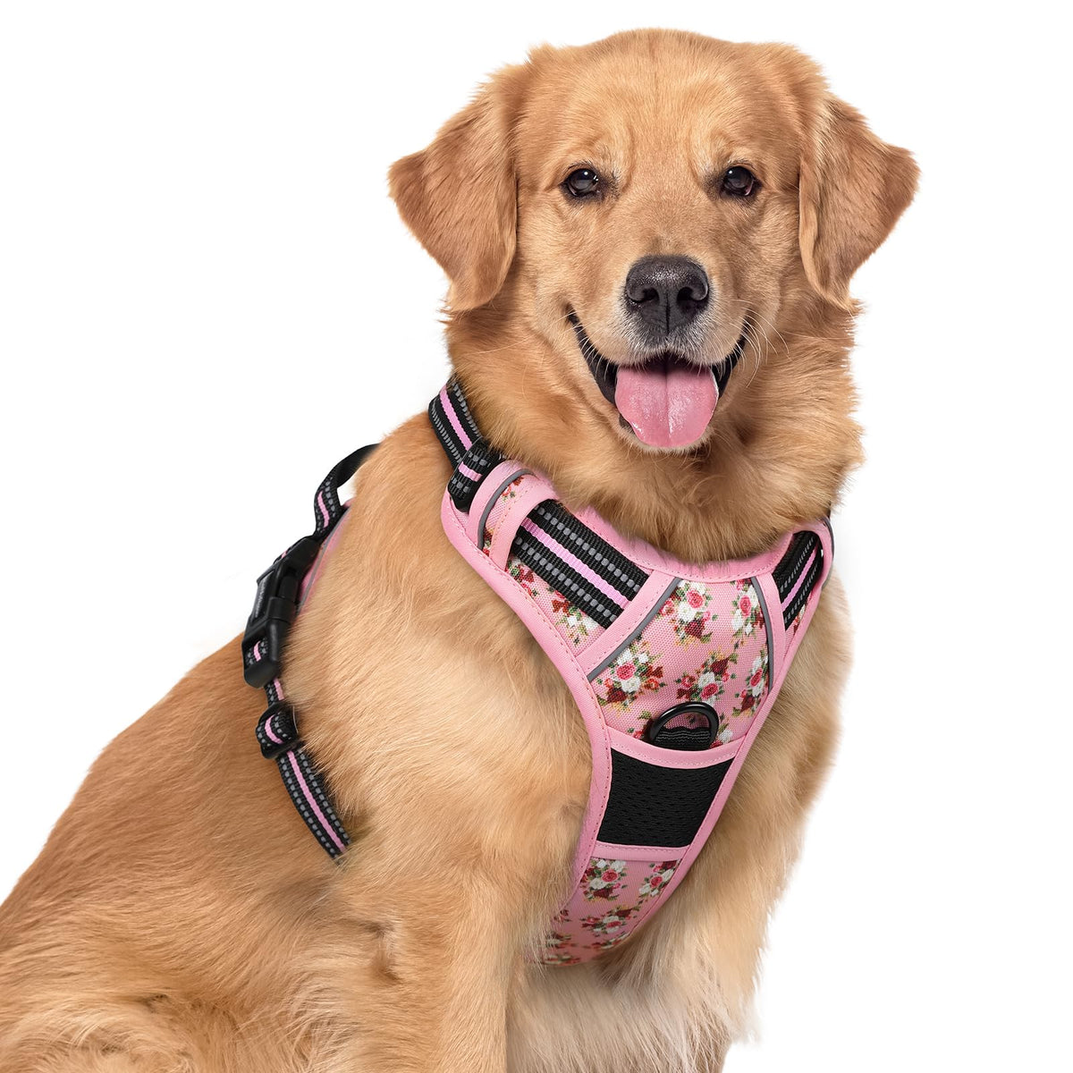 rabbitgoo Dog Harness, No Pull for Large Dogs with 2 Leash Clips, Pet Vest