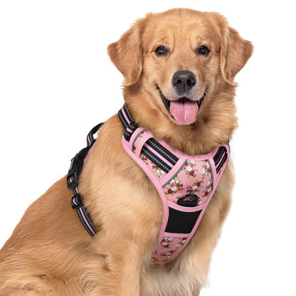 rabbitgoo Dog Harness, No Pull for Large Dogs with 2 Leash Clips, Pet Vest