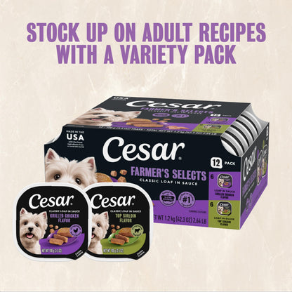 Cesar Classic Loaf in Sauce Wet Dog Food, Meaty Selects, 3.5 oz, 36 Count