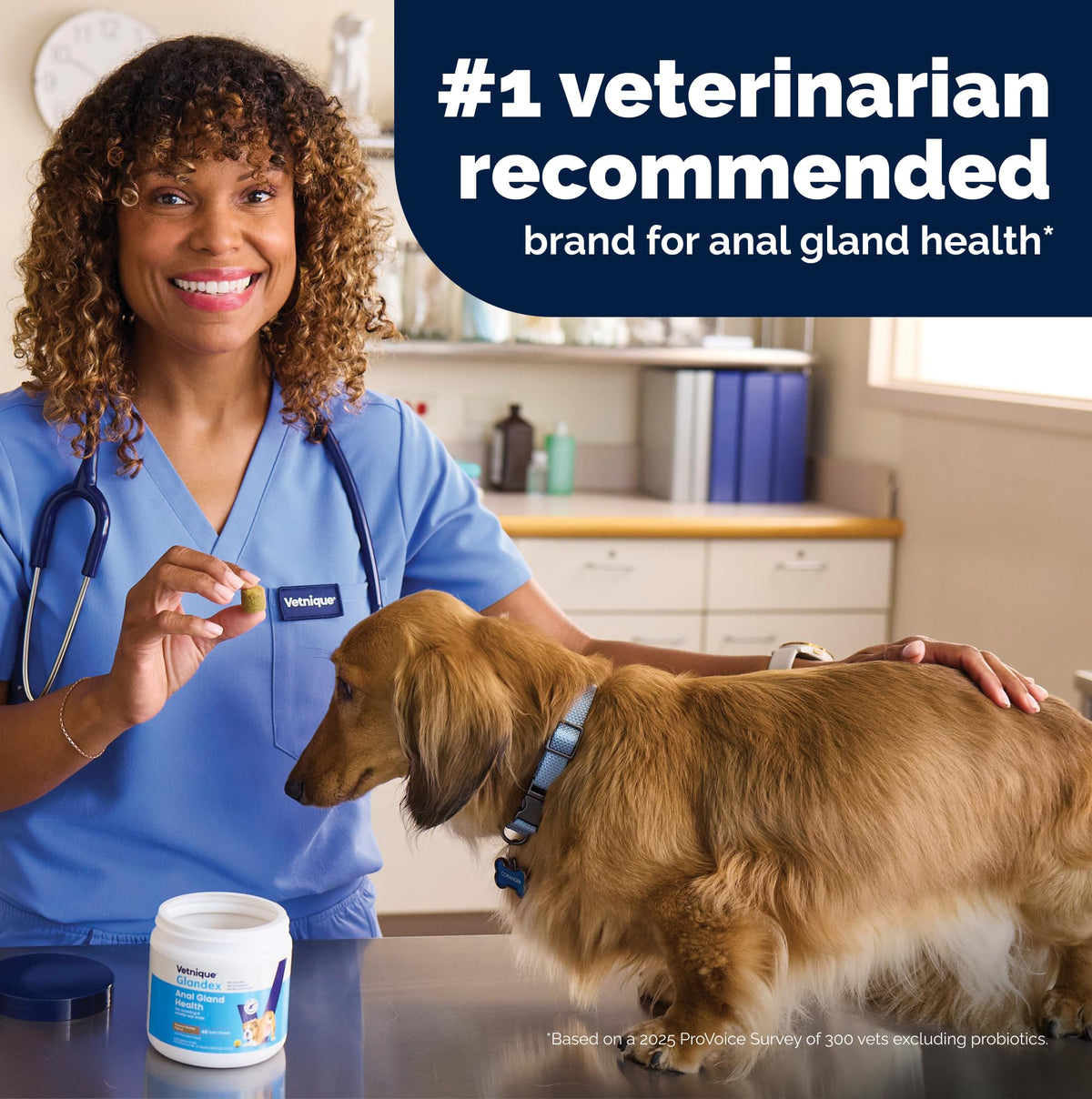 Vetnique Glandex for Dogs Anal Gland Chews 120ct Pumpkin, Digestive Enzymes