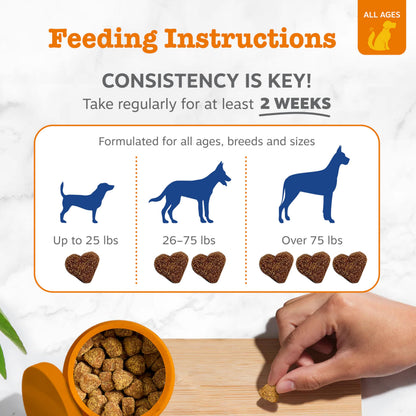 Zesty Paws Dog Vitamins - Dog Multivitamins with Hemp - Chicken, 90 Ct