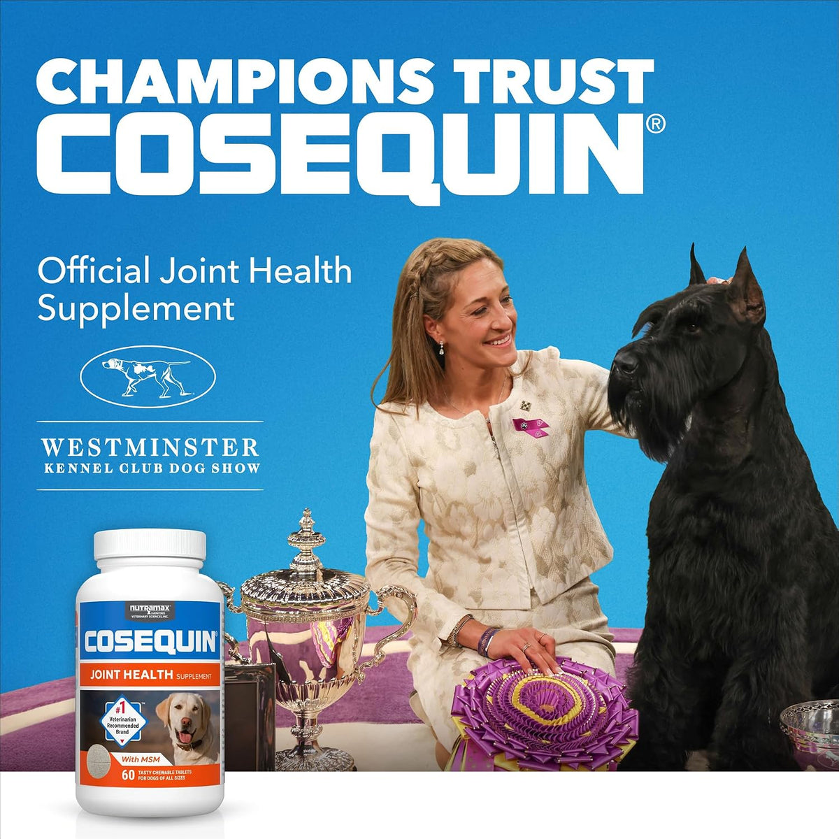 Nutramax Cosequin Joint Supplement for Dogs, MSM+HA, Chew Tablets, 250ct