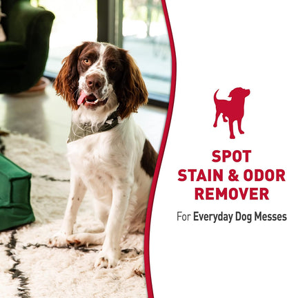 Nature’s Miracle Dog Stain & Odor Remover, Enzymatic Cleaner, 32 oz