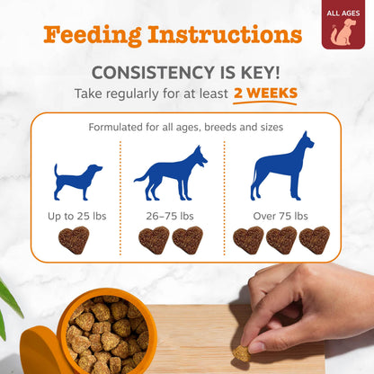 Zesty Paws Dog Vitamins - Dog Multivitamins with Hemp - Chicken, 90 Ct