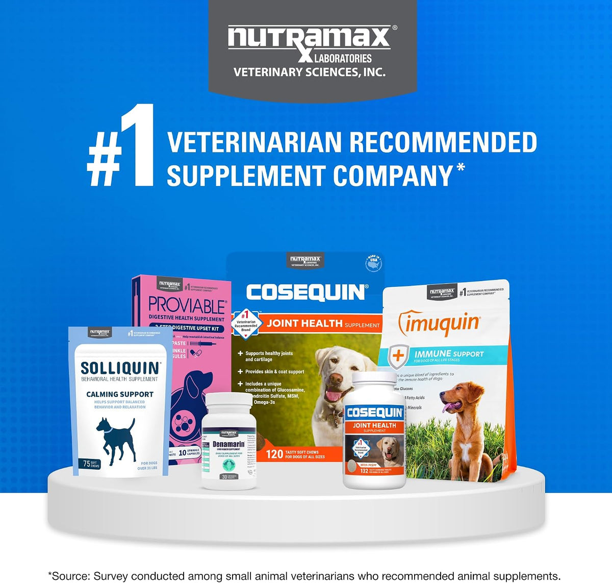 Nutramax Cosequin Joint Supplement for Dogs, MSM+HA, Chew Tablets, 250ct