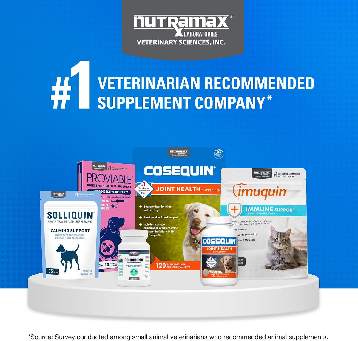 Nutramax Cosequin Joint Supplement for Dogs, MSM+HA, Chew Tablets, 250ct