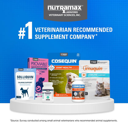Nutramax Cosequin Joint Supplement for Dogs, MSM+HA, Chew Tablets, 250ct