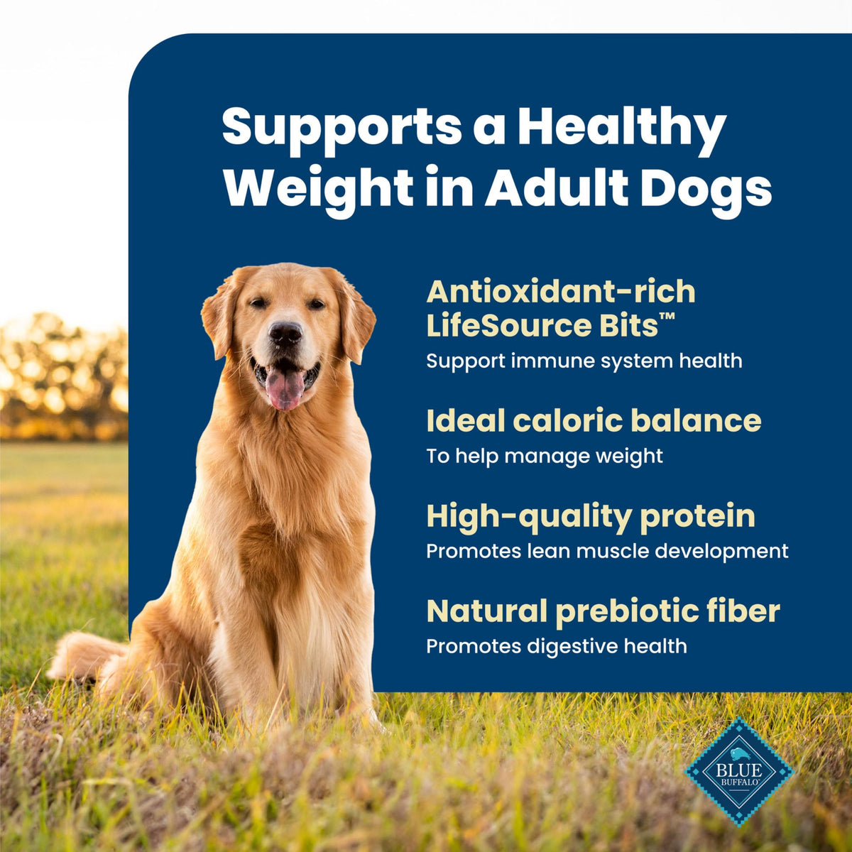 Blue Buffalo Life Protection Formula Chicken Adult Dry Dog Food, 30 lb