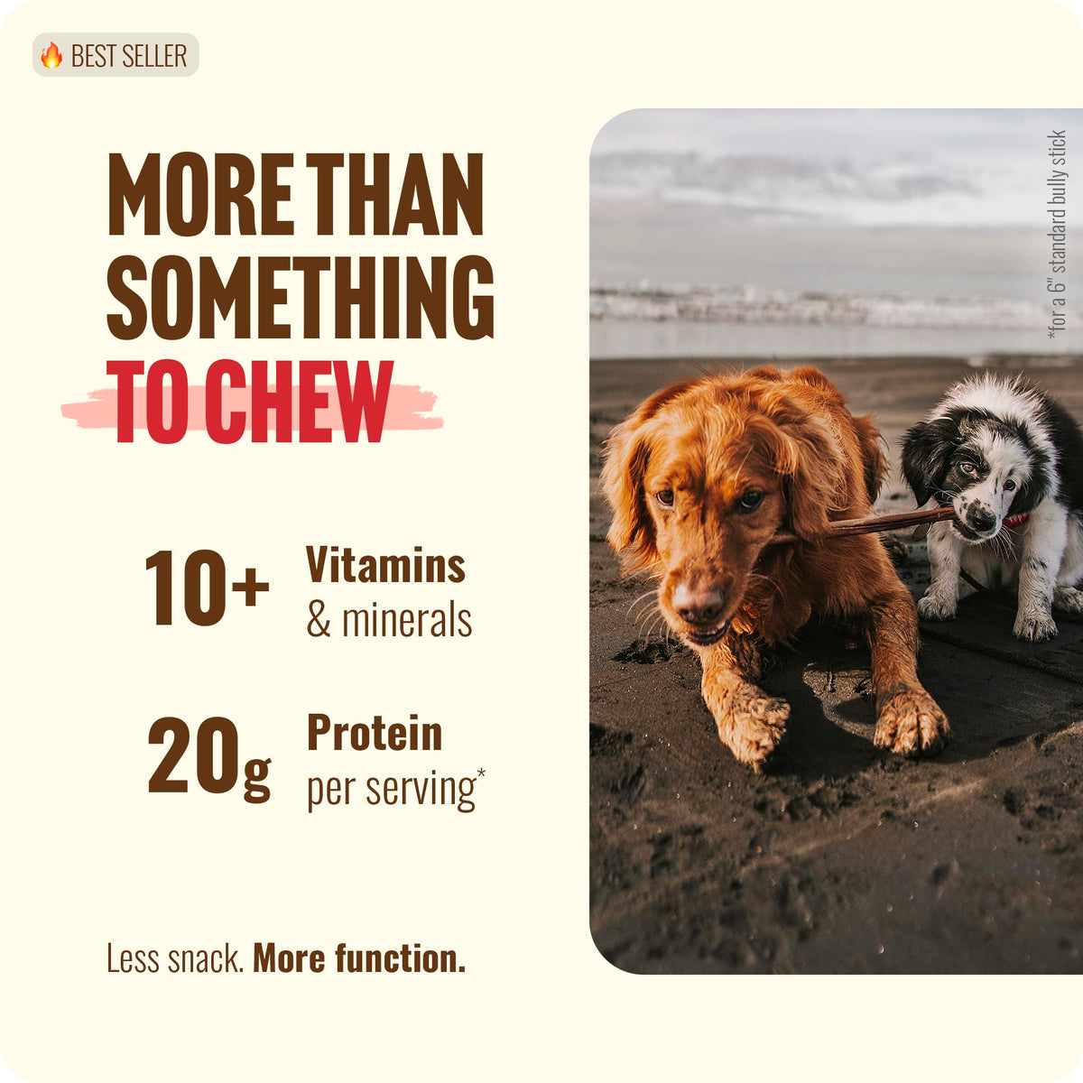 Natural Farm Odor-Free Bully Sticks (4-8”, 16oz) ALL-NATURAL Long-Lasting Chews, 100% Beef Pizzle, Grass-Fed, Grain-Free, Hormone-Free, Protein for Muscle Development & Energy, Perfect For Medium Dogs