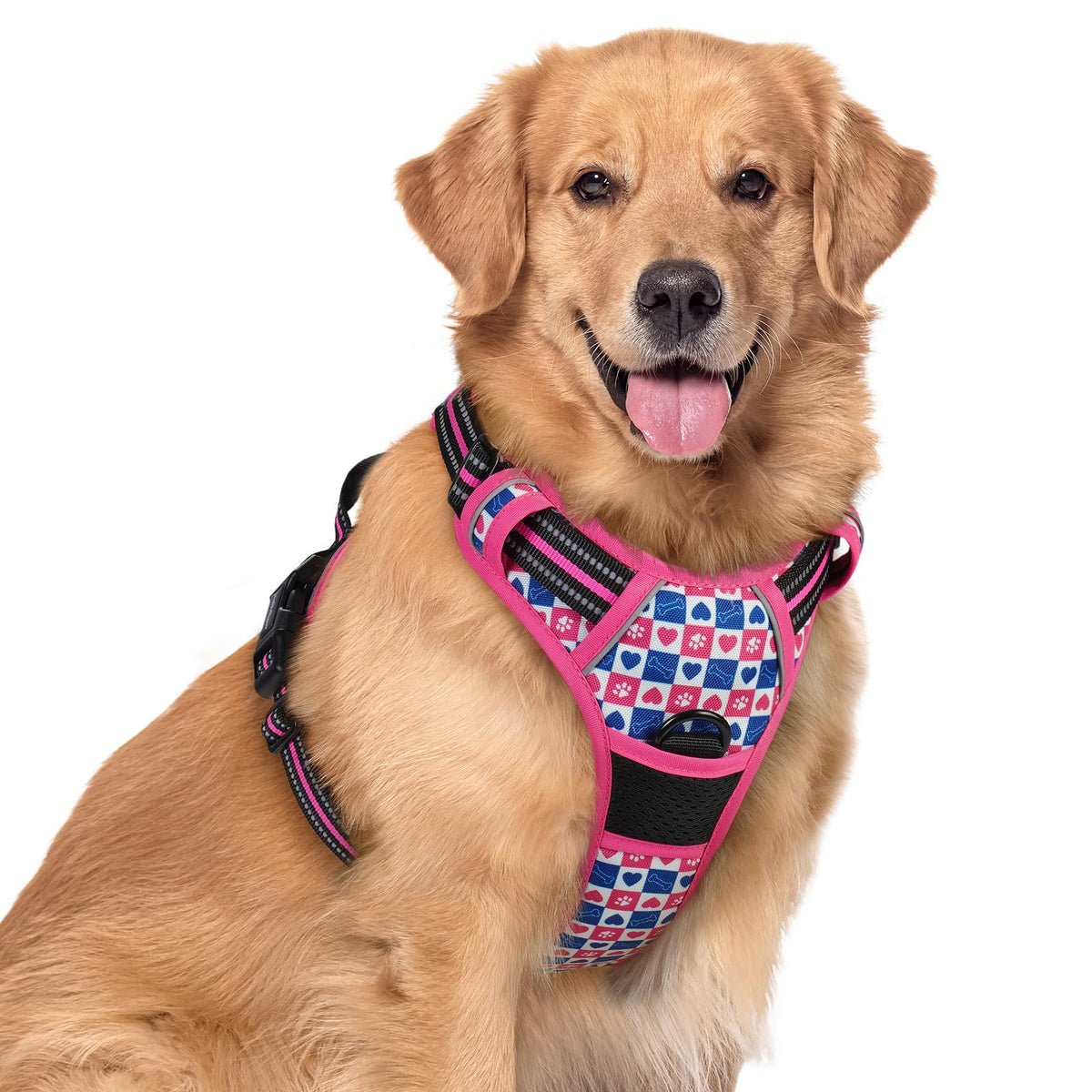 rabbitgoo Dog Harness, No Pull for Large Dogs with 2 Leash Clips, Pet Vest