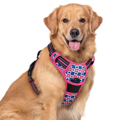 rabbitgoo Dog Harness, No Pull for Large Dogs with 2 Leash Clips, Pet Vest