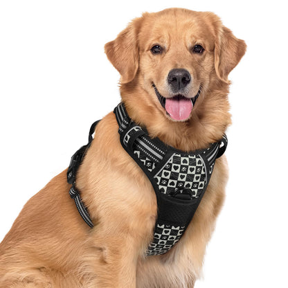 rabbitgoo Dog Harness, No Pull for Large Dogs with 2 Leash Clips, Pet Vest