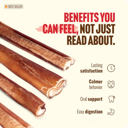 Natural Farm Odor-Free Bully Sticks (4-8”, 16oz) ALL-NATURAL Long-Lasting Chews, 100% Beef Pizzle, Grass-Fed, Grain-Free, Hormone-Free, Protein for Muscle Development & Energy, Perfect For Medium Dogs
