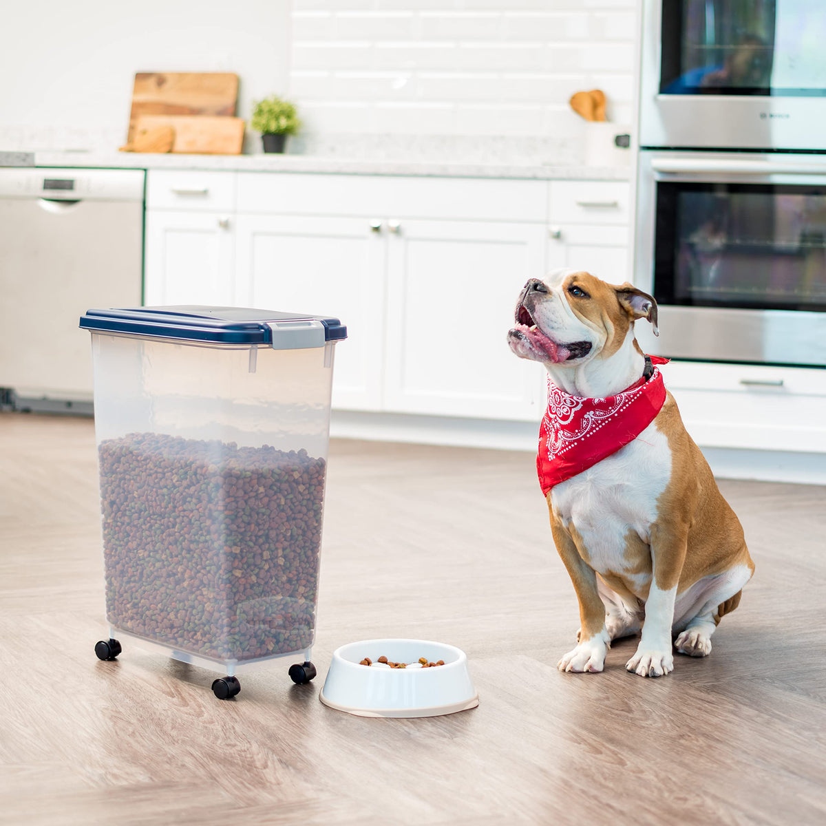 IRIS USA Dog Food Storage Container, Up to 10 lbs, Clear/Gray, Made in USA