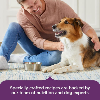Nutrish Hearty Beef Stew Wet Dog Food, 8 oz. Tub (Pack of 8) (Rachael Ray)