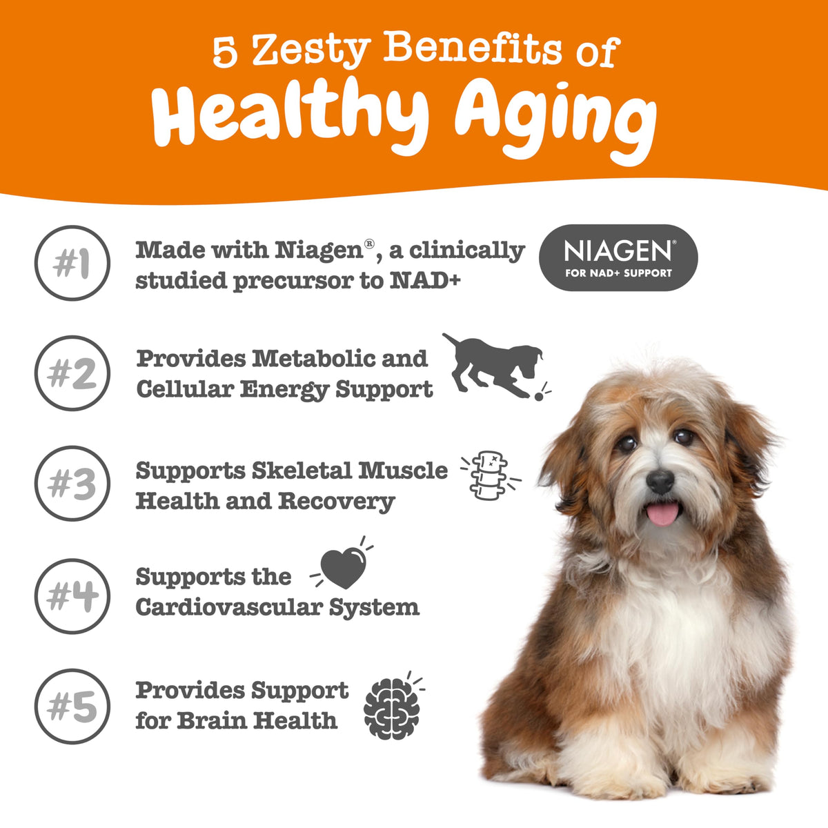 Zesty Paws Dog Vitamins - Dog Multivitamins with Hemp - Chicken, 90 Ct