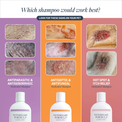Veterinary Formula Clinical Care Antiseptic & Antifungal Shampoo + Spray